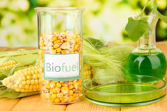 Wern Y Gaer biofuel availability